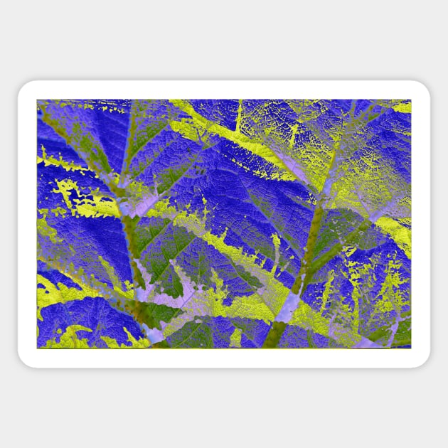 Mammoth leaf, giant rhubarb (Gunnera manicata) abstract Sticker by Kruegerfoto